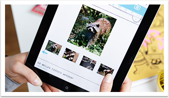 Mobiles Webdesign und Mobile Online-Lösung für den Zoom Zoo Gelsenkirchen | by bgp e.media - Tierseite Bildergalerie