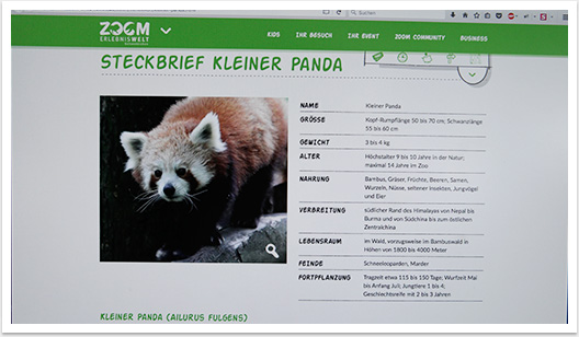 Responsives Webdesign und Mobile Online-Lösung für den Zoom Zoo Gelsenkirchen | by bgp e.media - Tierdetailseite
