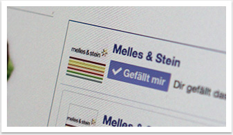 Customer Service-Online Portal für Hostessen Webdesign für Melles und Stein by bgp e.media - facebooklink