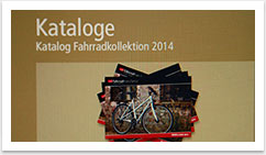 B2C Internetauftritt für Vsf Fahrradmanufaktur by bgp e.media - Teaser Kataloge