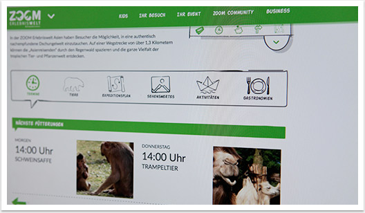 Responsives Webdesign und Mobile Online-Lösung für Zoom Gelsenkirchen | by bgp e.media - Kategorieseite Ankernavigation und Teaser